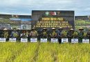 Dukung Ketahanan Pangan Nasional, TNI–Polri Hadiri Panen Raya Padi Yonif TP 856/SBS di Beutong